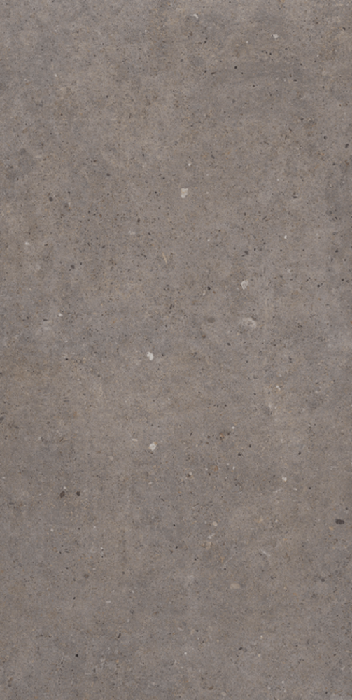 Sanchis Home Cement Stone Dark Grey 60x120