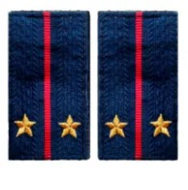 Фальшпогоны вышитые полиция лейтенант 5*9 см