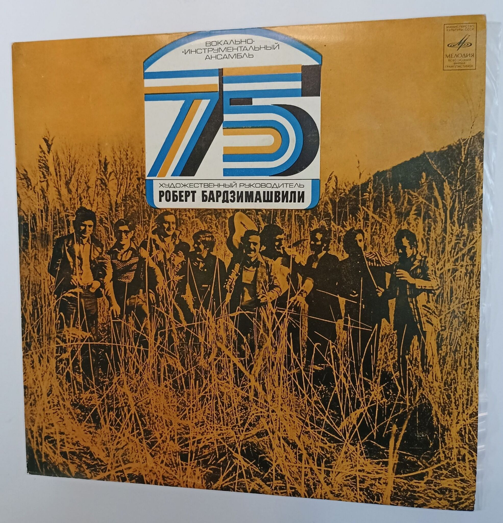 Винтажная виниловая пластинка LP Вокально Инструментальный Ансамбль 75 (СССР 1976)