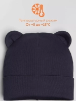 Шапка детская осенняя с ушками и снуд