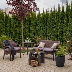 Костровая чаша S-серия D 60 Чугун