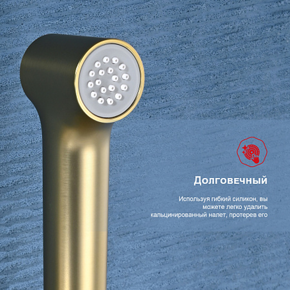 Смеситель с гигиеническим душем встраиваемый RAGLO R03.52