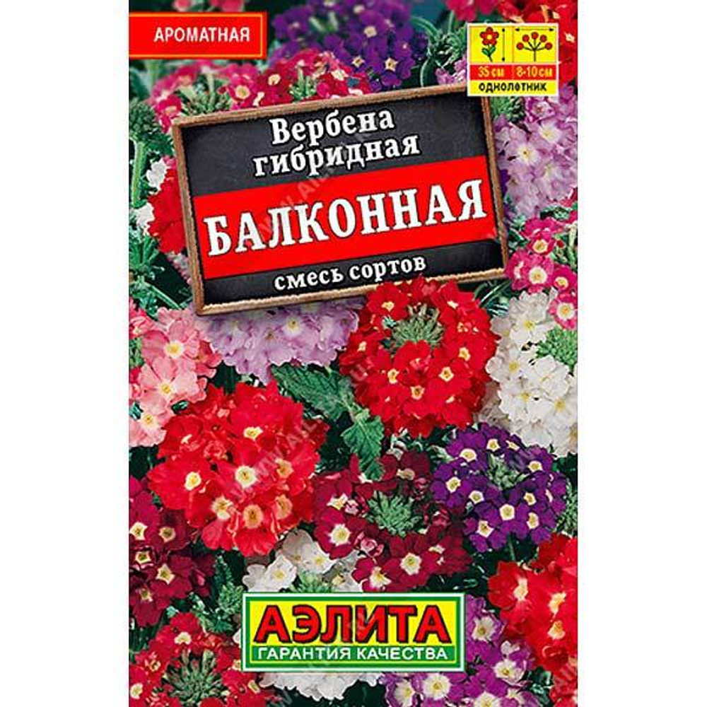 Вербена Балконая смесь 40шт.