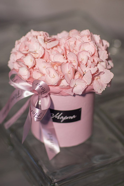 Композиция из нежно - розовой гортензии в шляпной коробке «с 8 Марта»