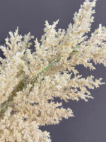 Астильба белая (h90 см)