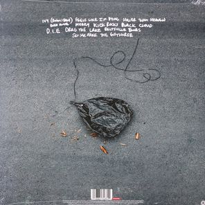 The Amity Affliction / Misery (LP)
