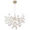 Подвесная люстра Crystal Lux Evita SP63 Gold/Transparent