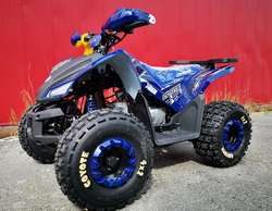 Квадроцикл MOTOLAND (МОТОЛЕНД) 125 COYOTE PRO