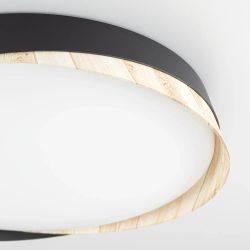 Citilux BONNY CL754351G LED RGB Светильник с пультом Черный+Клён