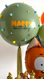 Воздушные шары Котэ №8906