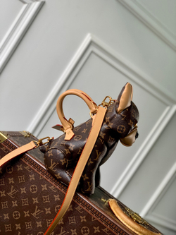 Louis Vuitton Pooch Bag