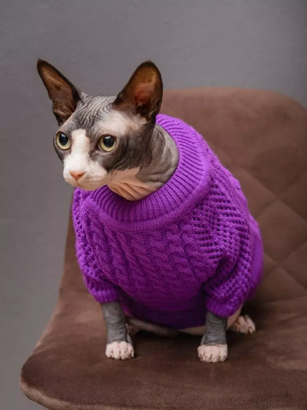 Свитер для собак и кошек