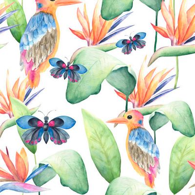 Тропические птицы