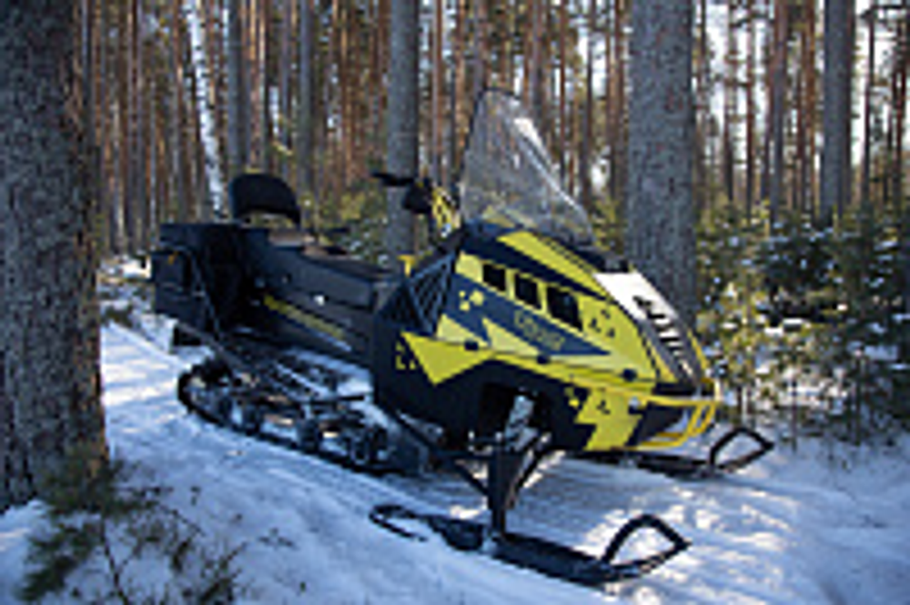 Снегоход Рыбак Торос 600SL 1000Pro