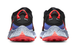 Кроссовки Nike Pegasus Trail 3 Gtx (Женская размерная сетка)