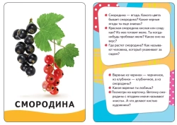 Умные карточки Овощи, фрукты, ягоды, 32 карточки