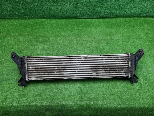 Интеркулер Tank 300 (2021-н.в.)