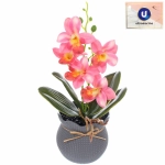 Цветочная композиция «Орхидея» 10*28см розовая в пластиковом горшке