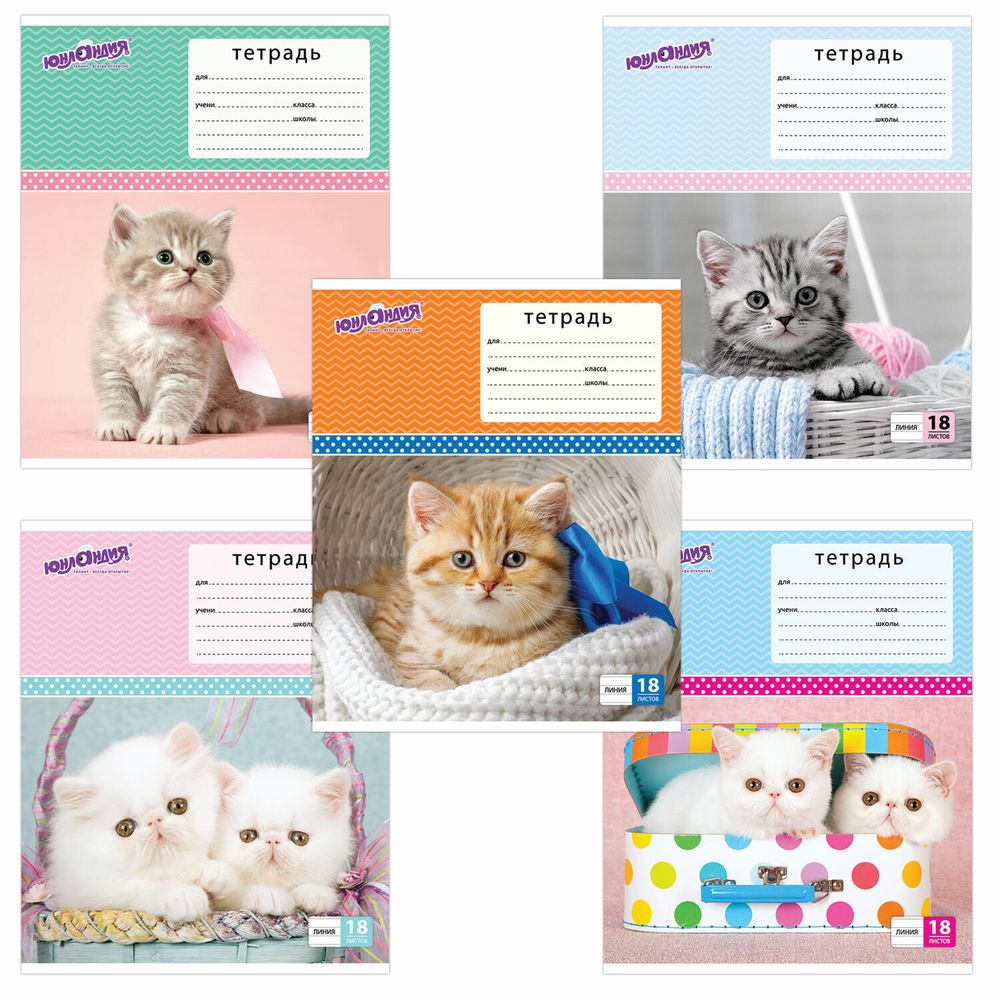 Тетрадь 18 л. ЮНЛАНДИЯ линия, обложка картон, "КОТИКИ", 403583
