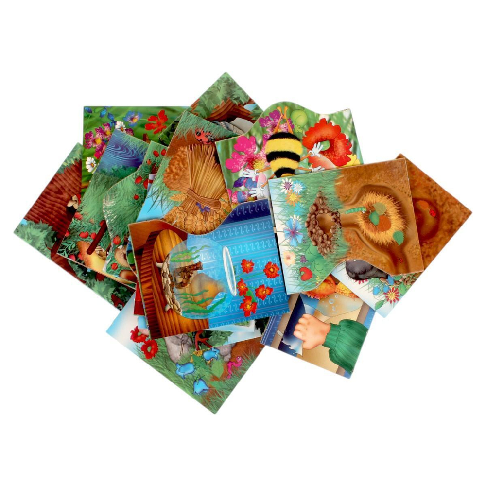 Дидактическая игра "Где мой дом?" (Орма)