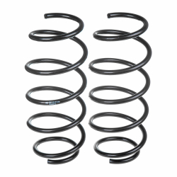 Пружины GANZ передние L=R FORD Fusion 06.2002 - 01.2004 (комплект 2 шт.) Арт.: GIK02118