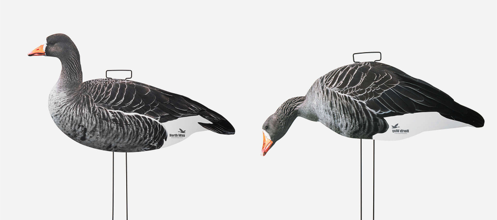 Профиля белолобого гуся North Way