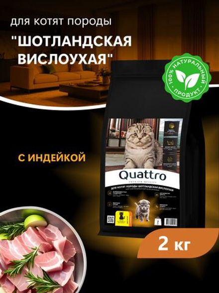Корм сухой для котят породы Шотландская вислоухая, с индейкой, 2кг, QUATTRO