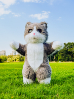 Котик Виталий