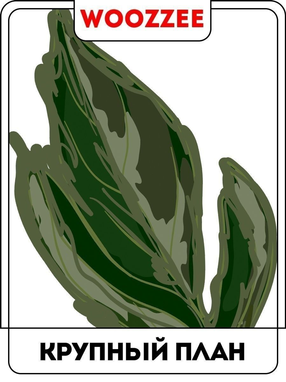 Наклейка декоративная  "Махровый пион"