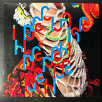Björk ‎– Declare Independence (Европа 2008г.) 2х12", 45 RPM, CD, DVD