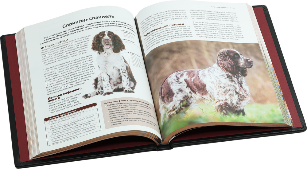 Все породы собак