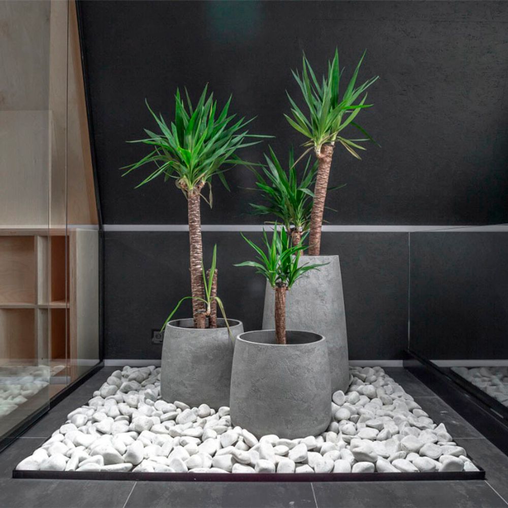 Кашпо CUBE CONCRETE M100