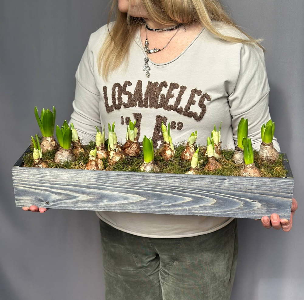 Hot garden offer #03p