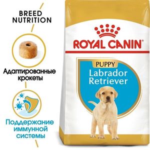 Корм для щенков собак породы лабрадор-ретривер, Royal Canin Labrador Retriever Puppy