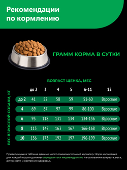 Quattro корм для щенков породы Пражский крысарик, с ягненком, 6 кг, QUATTRO
