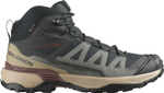 Ботинки Salomon X ULTRA 360 MID GTX