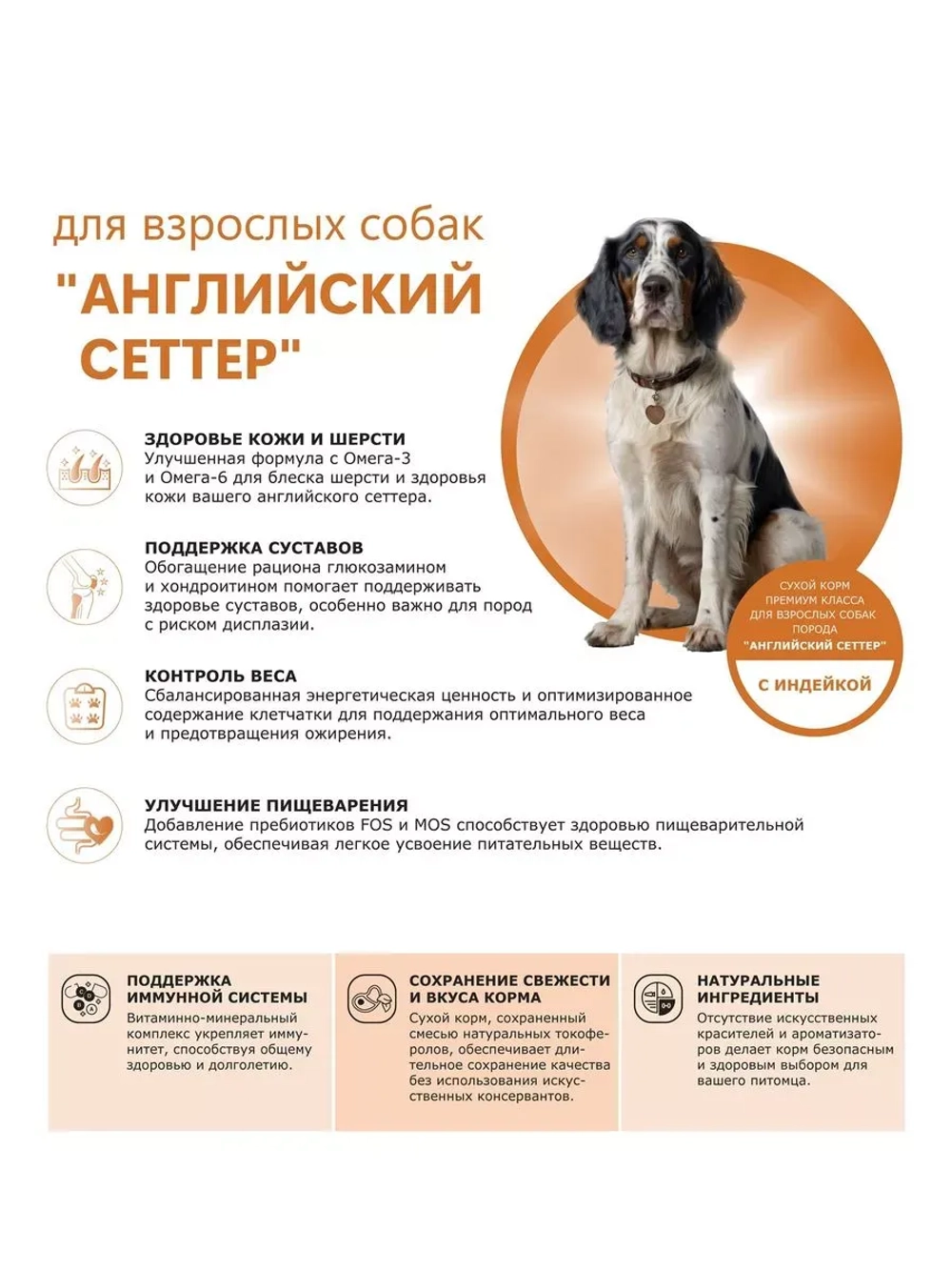 Сухой корм для собак Английский сеттер, индейка, 2,5кг