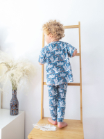 Футболка унисекс Mjölk Лебеди