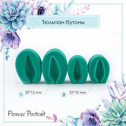 Тюльпан бутоны