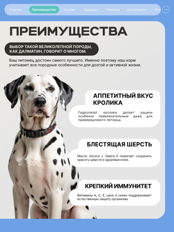 Корм для взрослых собак породы Далматин, с кроликом, 12 кг, QUATTRO
