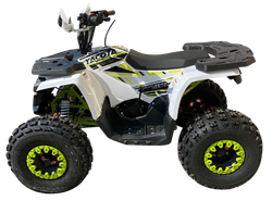 Квадроцикл подростковый YACOTA FUSION PRO 125 NEW бензин