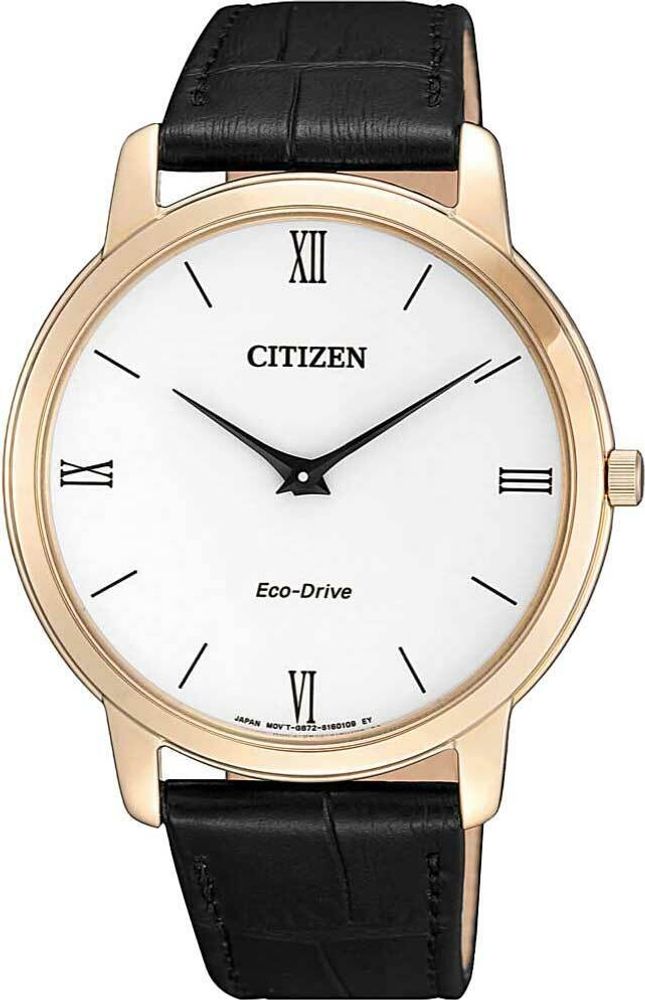 Наручные часы Citizen AR1133-23A