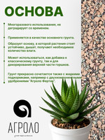 Грунт для растений минеральный АГРОЛО Основа, универсальный, для кактусов и суккулентов, ароидных, для фитильного полива