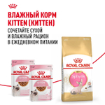Royal Canin Sphynx Kitten Корм сухой сбалансированный для котят породы Сфинкс до 12 месяцев 0,4 кг