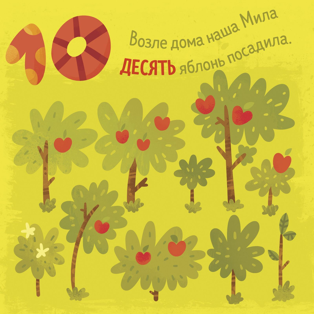 Мои первые знания. Формы, числа, цвета