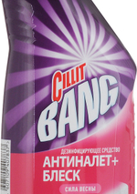 Средство дезенфицирующее CILLIT BANG д/туалета Анти-налет+Блеск, Сила весны 450мл