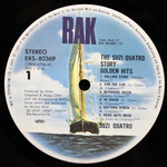 Suzi Quatro / The Suzi Quatro Story - Golden Hits (LP)