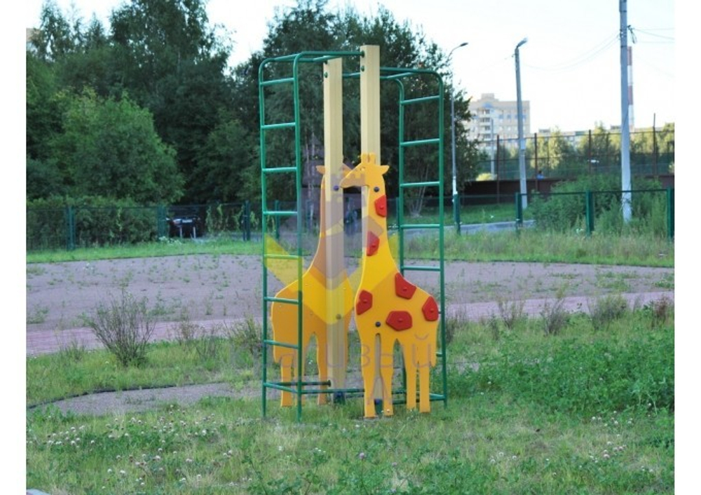 Спорткомплекс Жираф