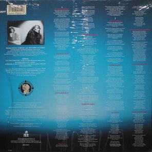 Timbuk 3 / Edge Of Allegiance (LP)