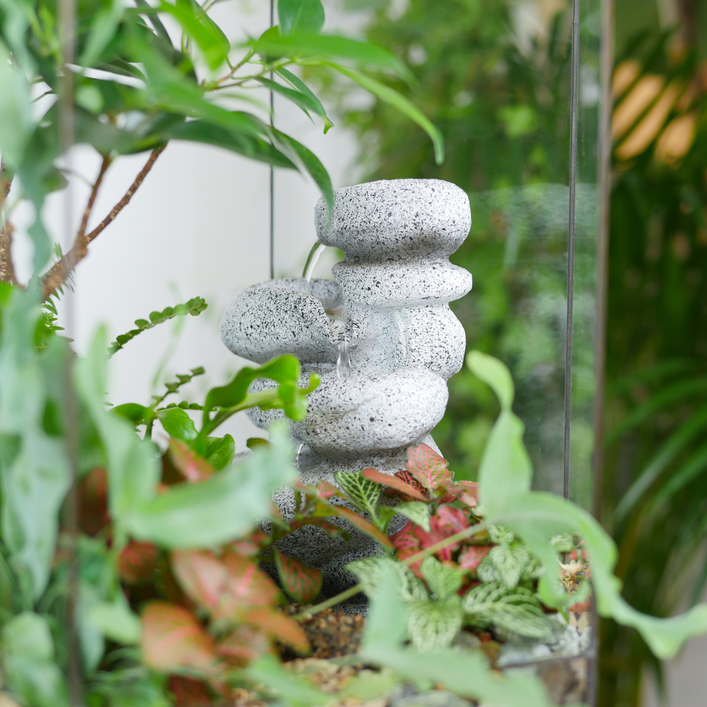 Флорариум с водопадом бонсай Фикус